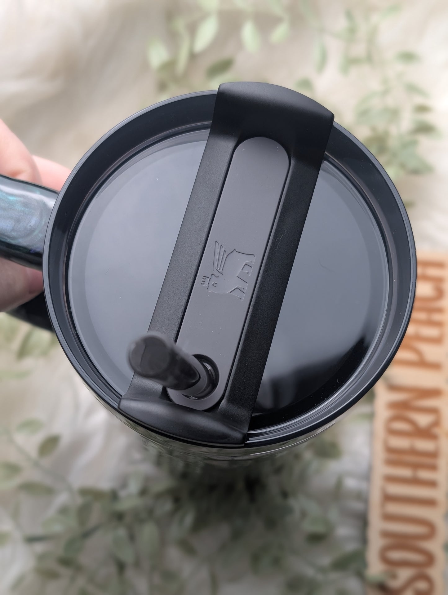 Northern Lights Stanley