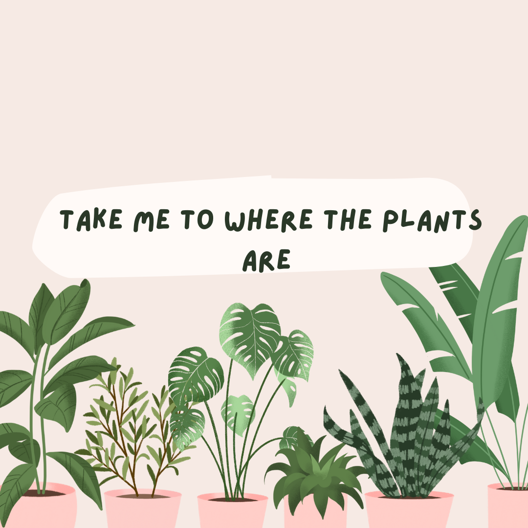 Take Me To Where the Plants Are