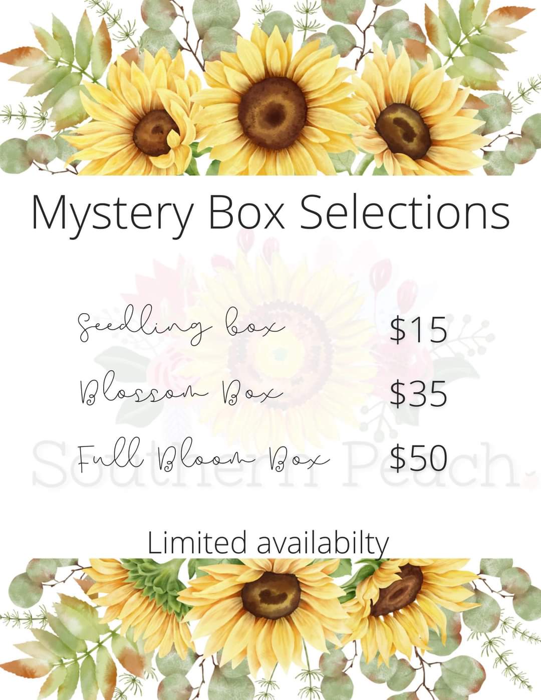 Sunflower Mystery Box